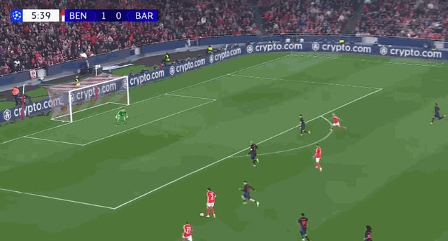 奥尔斯内斯.gif