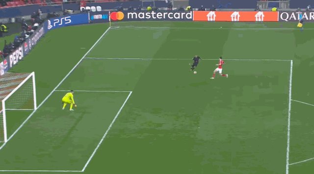 4-5拉菲尼亚.gif